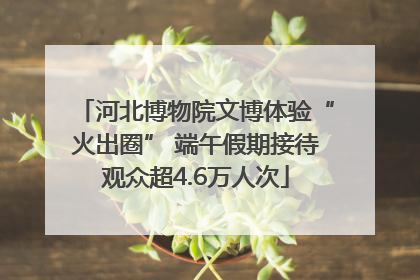 河北博物院文博体验“火出圈” 端午假期接待观众超4.6万人次