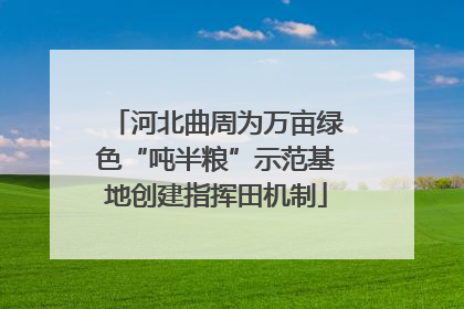 河北曲周为万亩绿色“吨半粮”示范基地创建指挥田机制