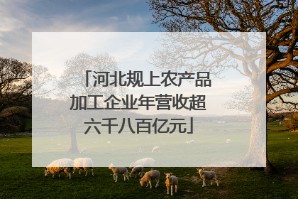 河北规上农产品加工企业年营收超六千八百亿元