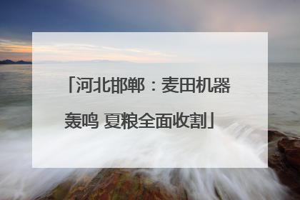 河北邯郸：麦田机器轰鸣 夏粮全面收割
