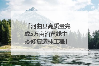 河曲县高质量完成5万亩沿黄线生态修复造林工程