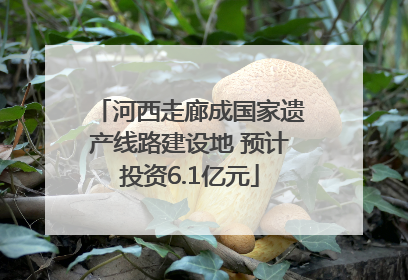 河西走廊成国家遗产线路建设地 预计投资6.1亿元