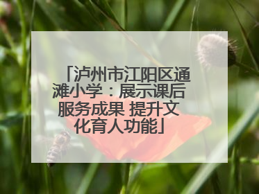 泸州市江阳区通滩小学：展示课后服务成果 提升文化育人功能