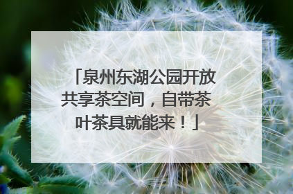 泉州东湖公园开放共享茶空间，自带茶叶茶具就能来！