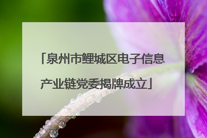 泉州市鲤城区电子信息产业链党委揭牌成立