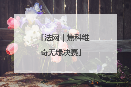 法网｜焦科维奇无缘决赛