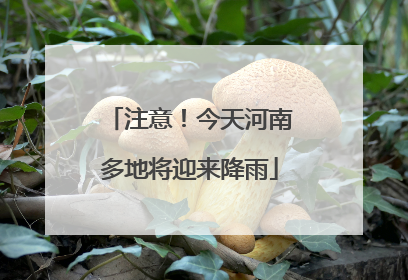 注意！今天河南多地将迎来降雨