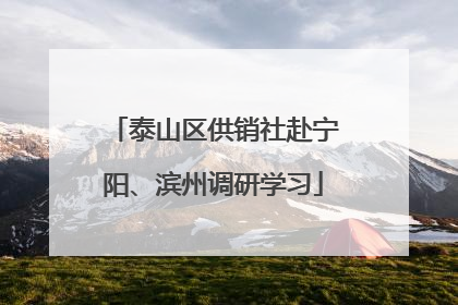 泰山区供销社赴宁阳、滨州调研学习