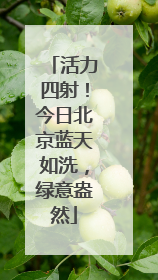 活力四射！今日北京蓝天如洗，绿意盎然