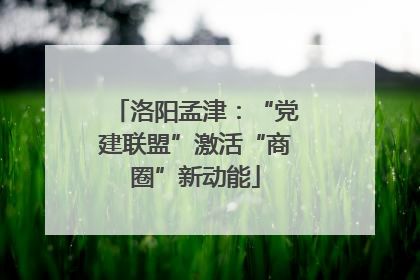 洛阳孟津：“党建联盟”激活“商圈”新动能