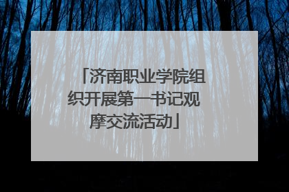 济南职业学院组织开展第一书记观摩交流活动