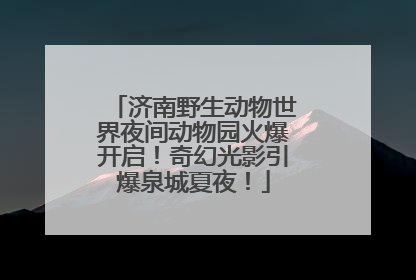 济南野生动物世界夜间动物园火爆开启！奇幻光影引爆泉城夏夜！