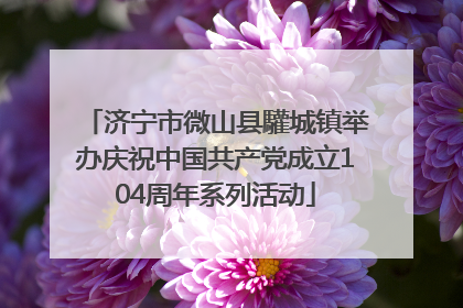 济宁市微山县驩城镇举办庆祝中国共产党成立104周年系列活动