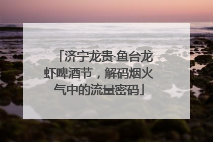 济宁龙贵·鱼台龙虾啤酒节，解码烟火气中的流量密码