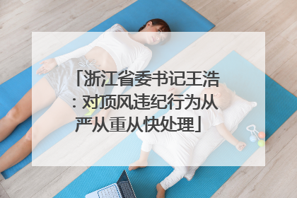 浙江省委书记王浩：对顶风违纪行为从严从重从快处理