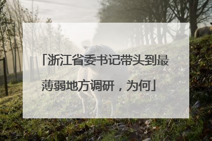 浙江省委书记带头到最薄弱地方调研，为何