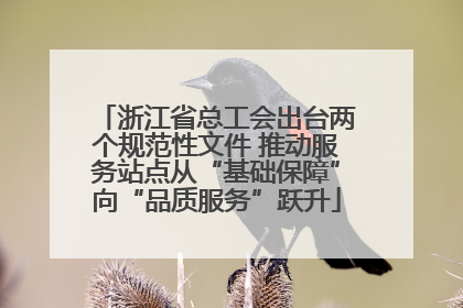 浙江省总工会出台两个规范性文件 推动服务站点从“基础保障”向“品质服务”跃升