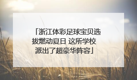 浙江体彩足球宝贝选拔燃动夏日 这所学校派出了超豪华阵容