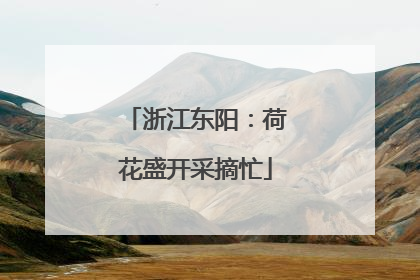 浙江东阳：荷花盛开采摘忙