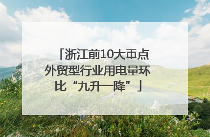 浙江前10大重点外贸型行业用电量环比“九升一降”