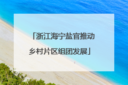 浙江海宁盐官推动乡村片区组团发展