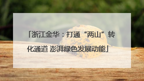 浙江金华：打通“两山”转化通道 澎湃绿色发展动能