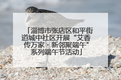 淄博市张店区和平街道城中社区开展“艾香传万家・新邻聚端午”系列端午节活动