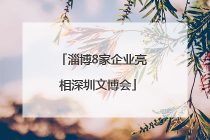 淄博8家企业亮相深圳文博会