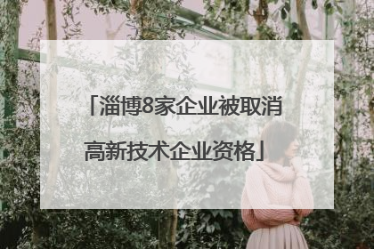 淄博8家企业被取消高新技术企业资格