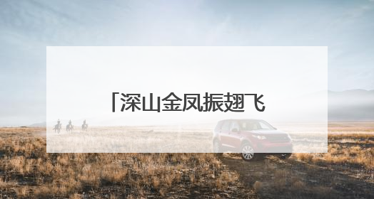 深山金凤振翅飞，钱大妈推动宁都黄鸡产业崛起