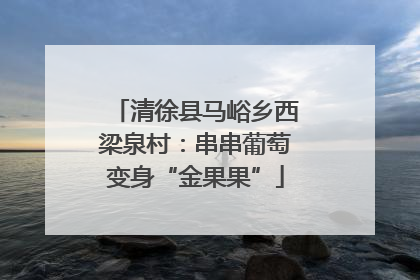 清徐县马峪乡西梁泉村：串串葡萄变身“金果果”