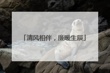 清风相伴，廉暖生辰