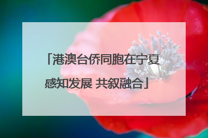 港澳台侨同胞在宁夏感知发展 共叙融合