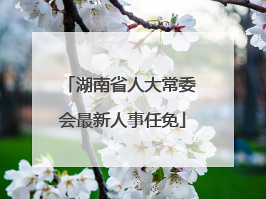 湖南省人大常委会最新人事任免