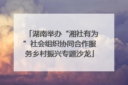 湖南举办“湘社有为”社会组织协同合作服务乡村振兴专题沙龙