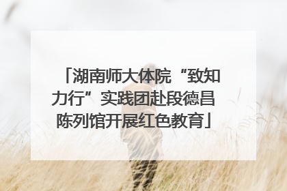 湖南师大体院“致知力行”实践团赴段德昌陈列馆开展红色教育