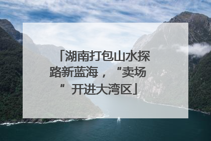 湖南打包山水探路新蓝海，“卖场”开进大湾区