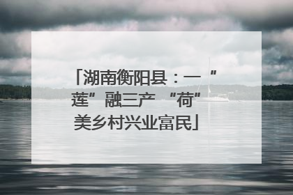 湖南衡阳县：一“莲”融三产 “荷”美乡村兴业富民