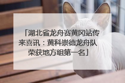 湖北省龙舟赛黄冈站传来喜讯：黄科崇德龙舟队荣获地方组第一名