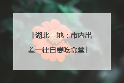 湖北一地：市内出差一律自费吃食堂