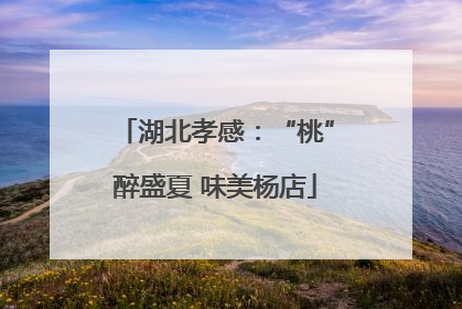 湖北孝感：“桃”醉盛夏 味美杨店