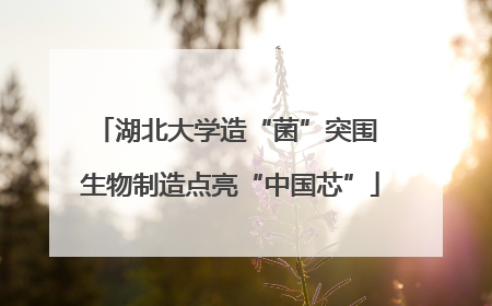 湖北大学造“菌”突围 生物制造点亮“中国芯”