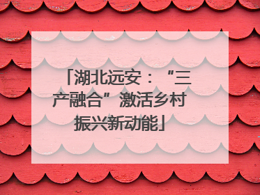 湖北远安：“三产融合”激活乡村振兴新动能
