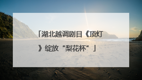 湖北越调剧目《顶灯》绽放“梨花杯”