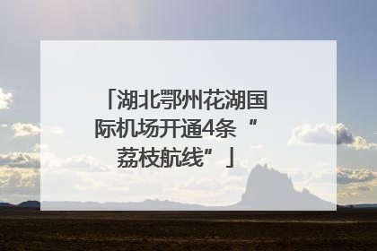 湖北鄂州花湖国际机场开通4条“荔枝航线”