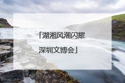 湖湘风潮闪耀深圳文博会