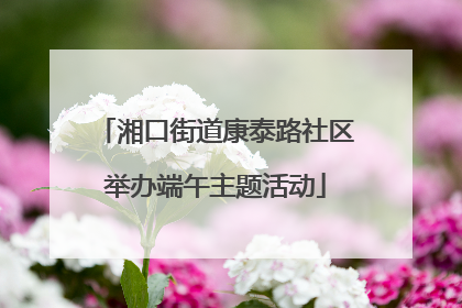 湘口街道康泰路社区举办端午主题活动