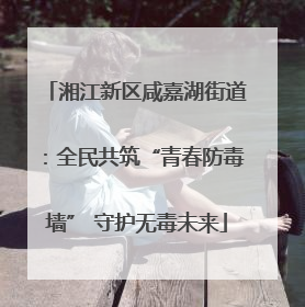 湘江新区咸嘉湖街道：全民共筑“青春防毒墙” 守护无毒未来