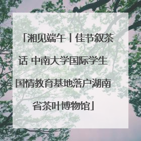 湘见端午丨佳节叙茶话 中南大学国际学生国情教育基地落户湖南省茶叶博物馆