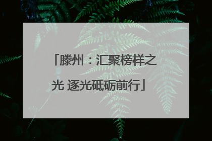 滕州：汇聚榜样之光 逐光砥砺前行